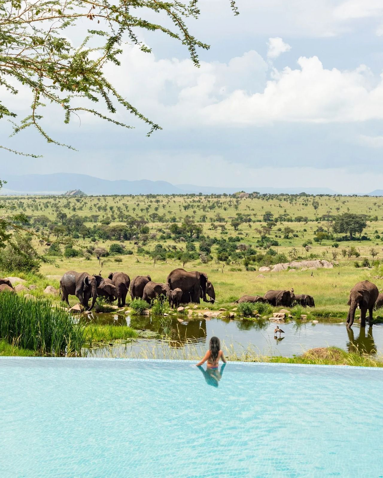 WhatsApp Image 2026-04-16 at 10.04.15 AM.jpeg