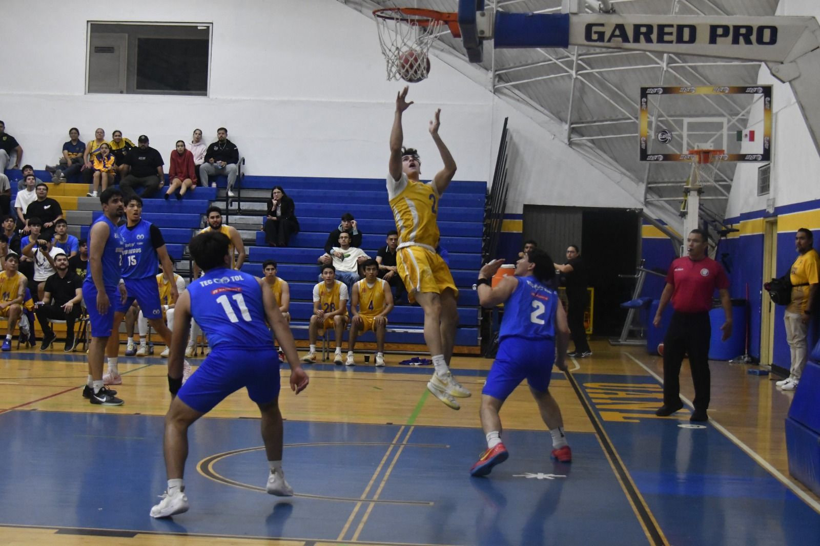 WhatsApp Image 2026-04-16 at 1.40.38 AM.jpeg