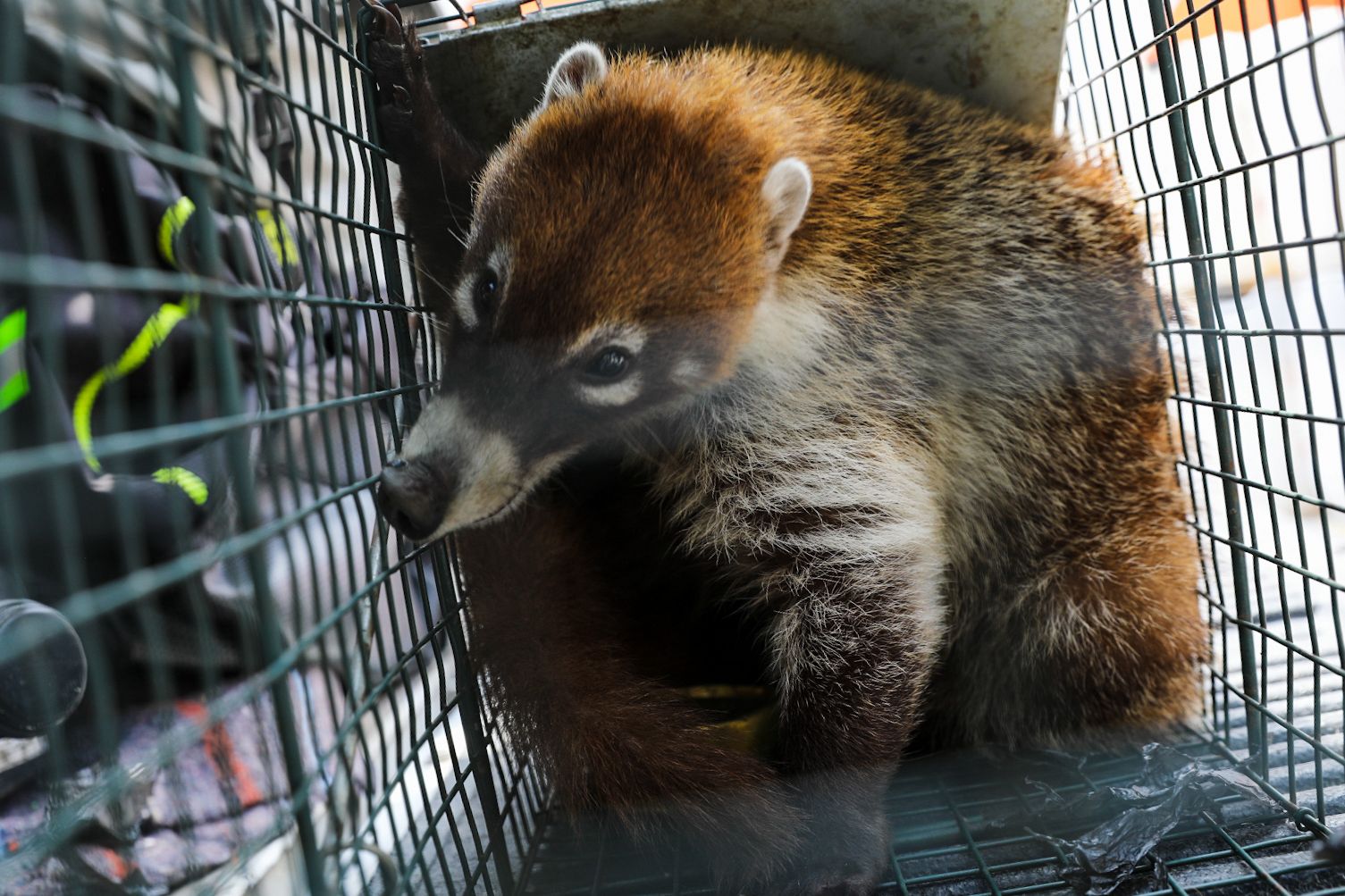 WhatsApp Image 2026-04-17 at 11.54.28 AM (1).jpeg