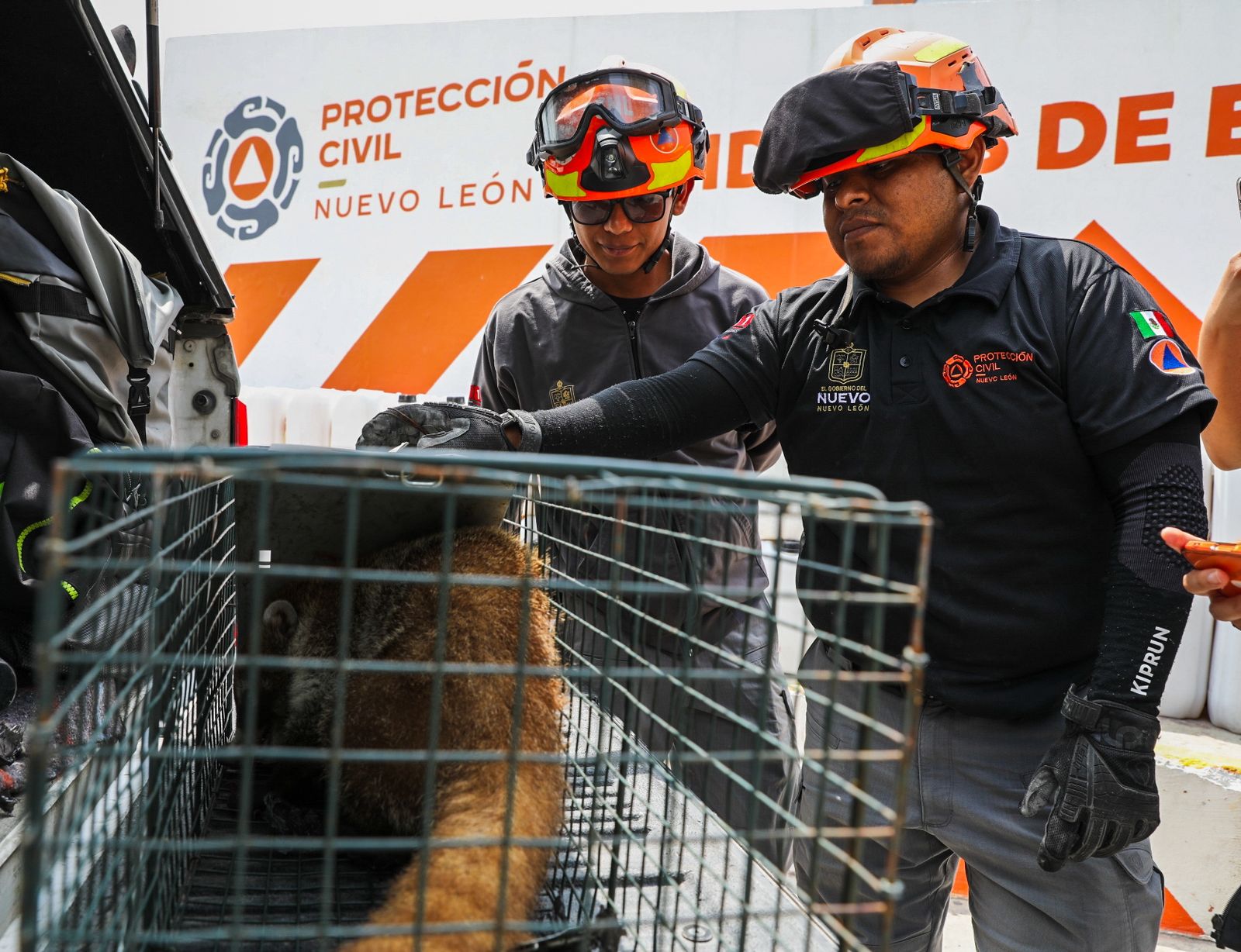 WhatsApp Image 2026-04-17 at 11.54.28 AM.jpeg