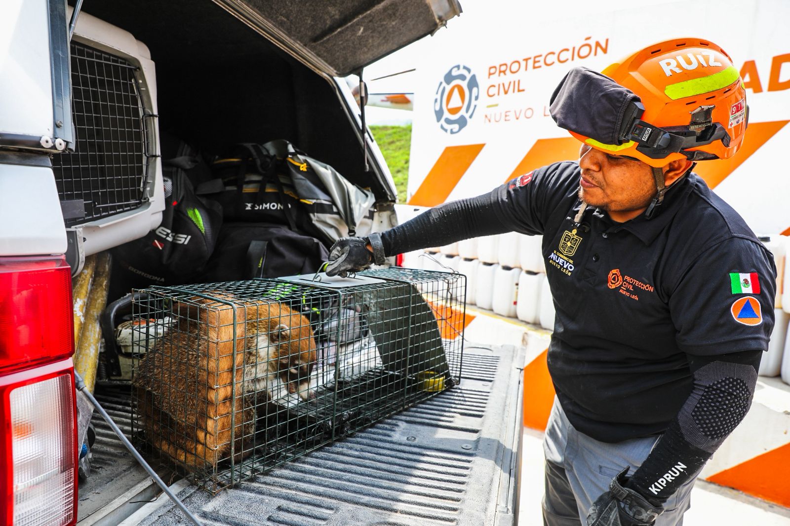 WhatsApp Image 2026-04-17 at 11.54.29 AM (1).jpeg