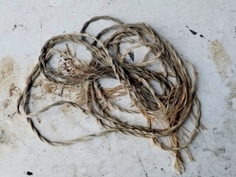 WhatsApp Image 2026-04-18 at 9.27.59 AM (1).jpeg