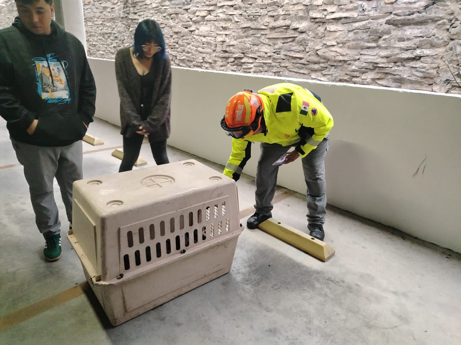 WhatsApp Image 2026-04-19 at 7.08.07 PM.jpeg