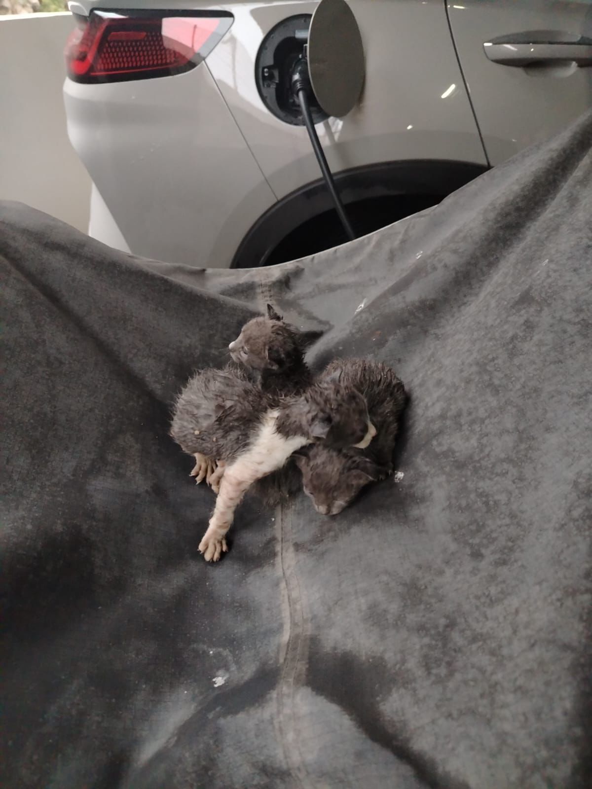 WhatsApp Image 2026-04-19 at 7.08.14 PM.jpeg