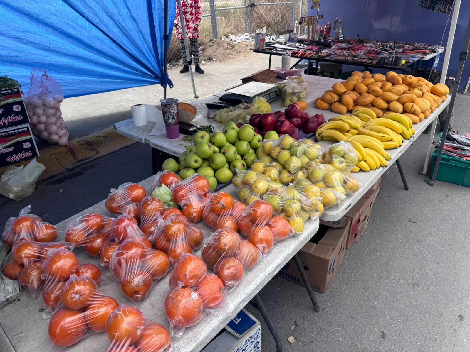 WhatsApp Image 2026-04-21 at 4.49.19 PM.jpeg