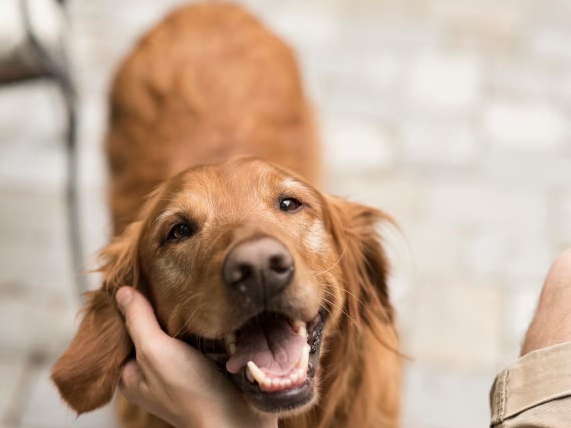 WhatsApp Image 2026-04-24 at 1.30.13 PM.jpeg