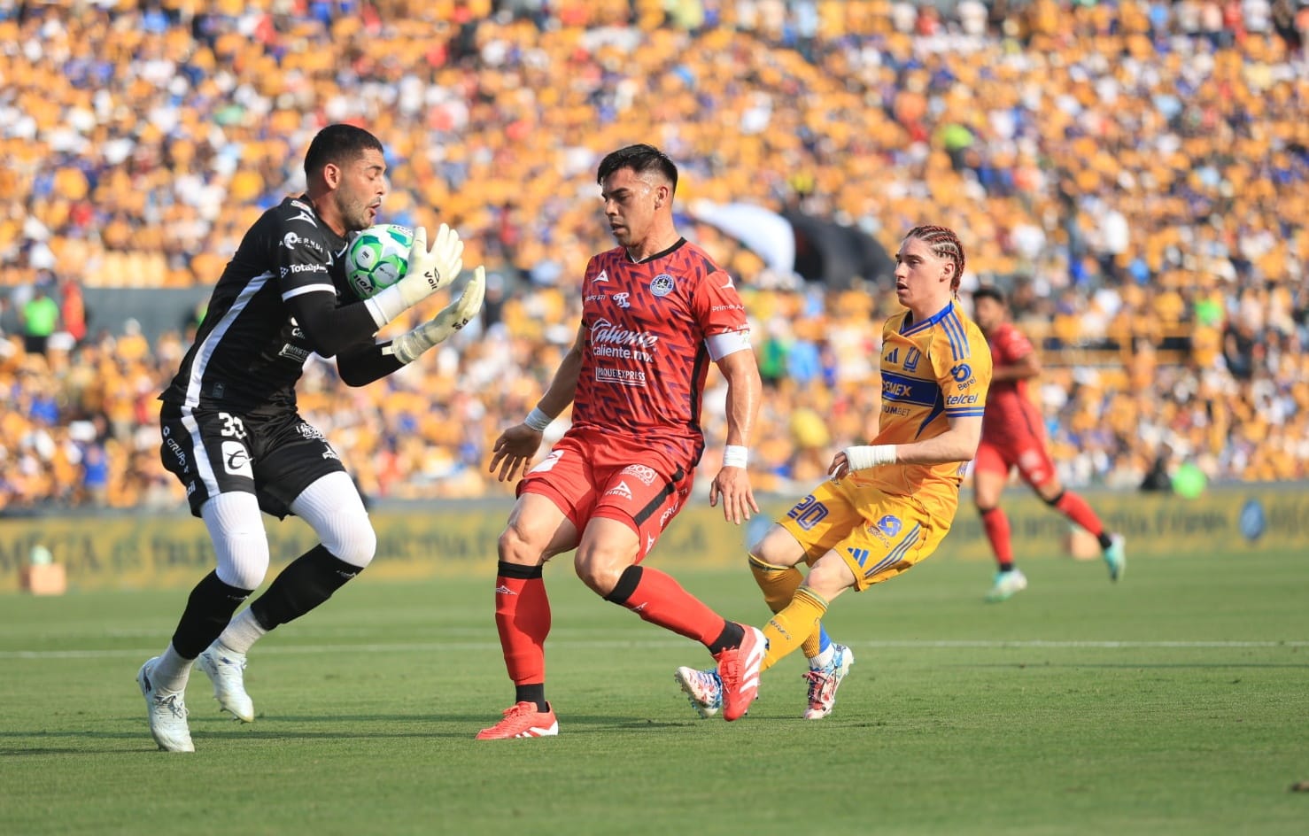 WhatsApp Image 2026-04-25 at 6.23.08 PM.jpeg