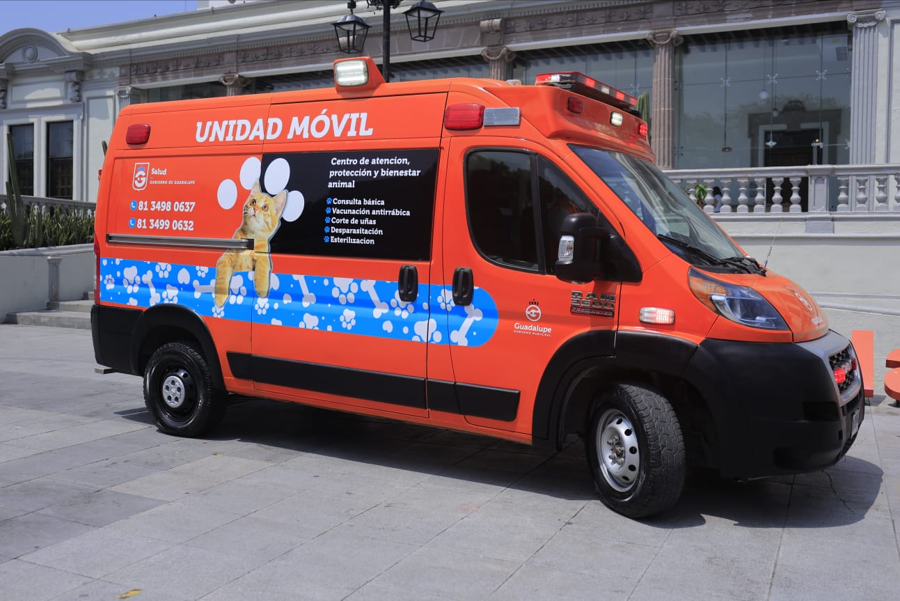 WhatsApp Image 2026-04-26 at 12.30.16.jpeg