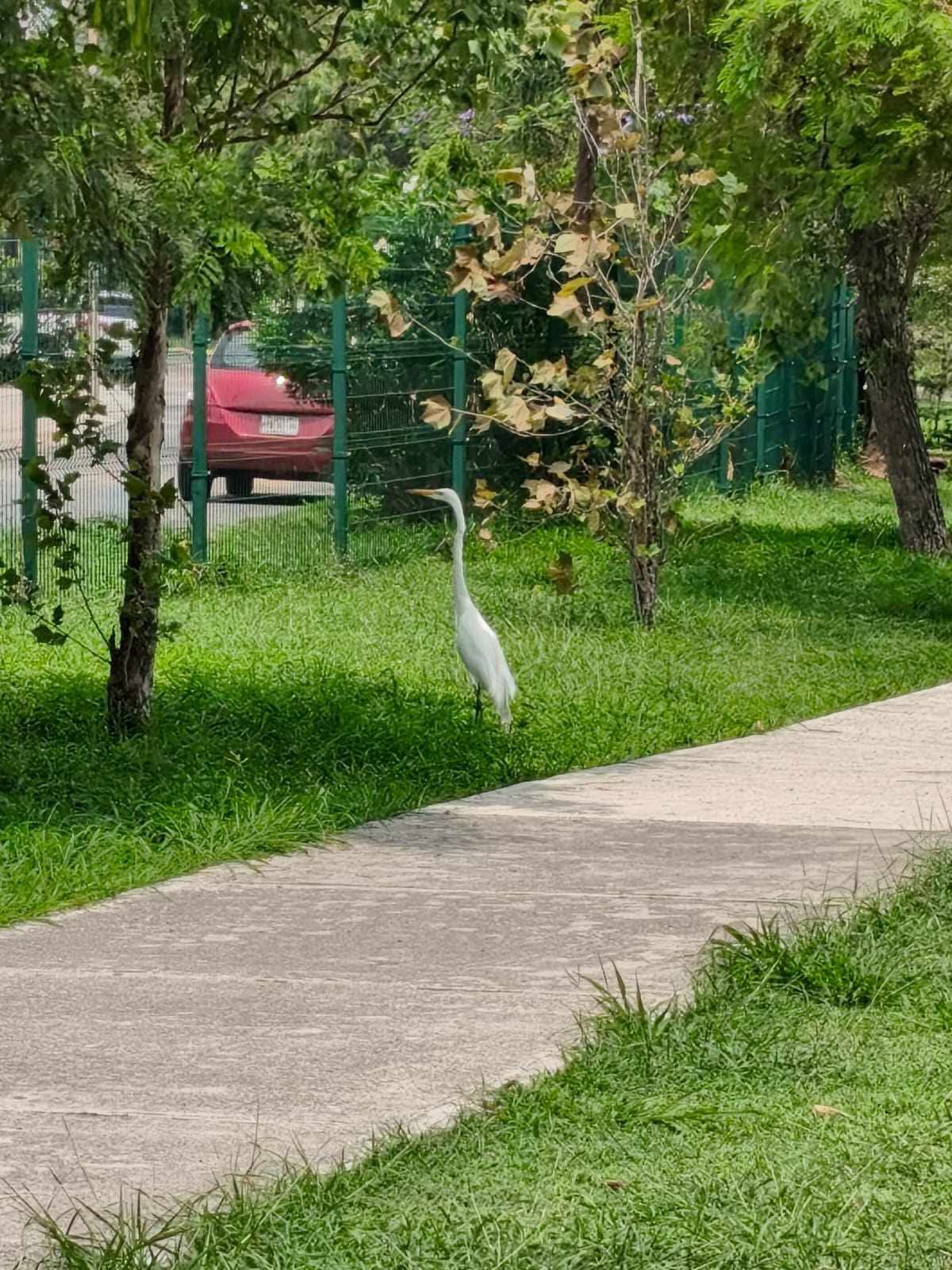 WhatsApp Image 2026-04-28 at 7.12.46 PM (1).jpeg