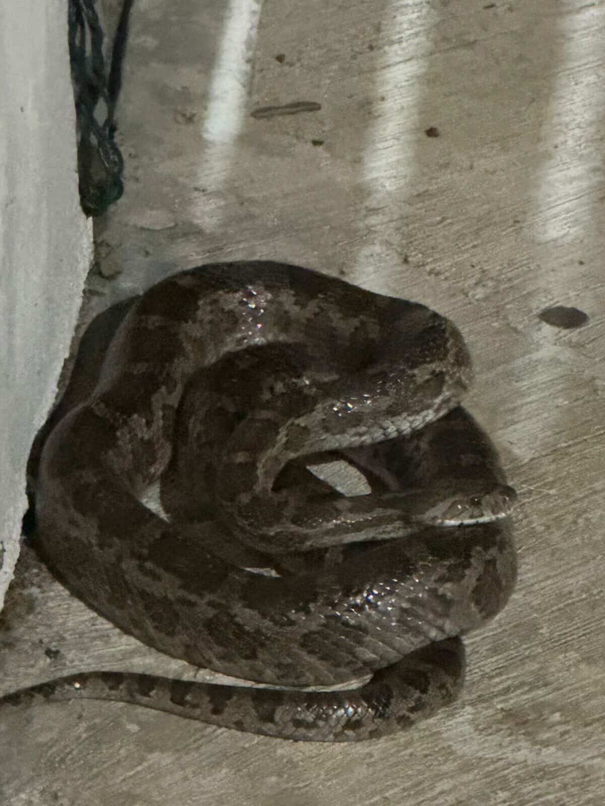 WhatsApp Image 2026-04-28 at 7.13.04 PM.jpeg