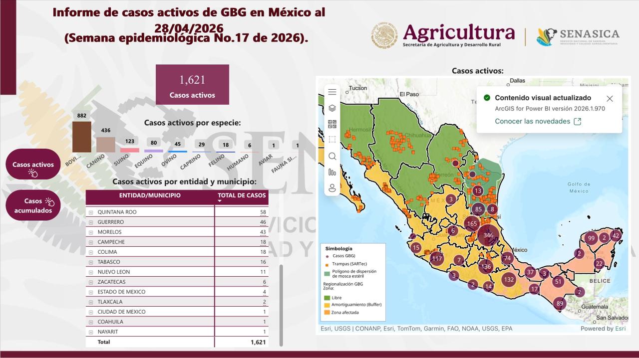 WhatsApp Image 2026-04-29 at 5.45.47 PM.jpeg