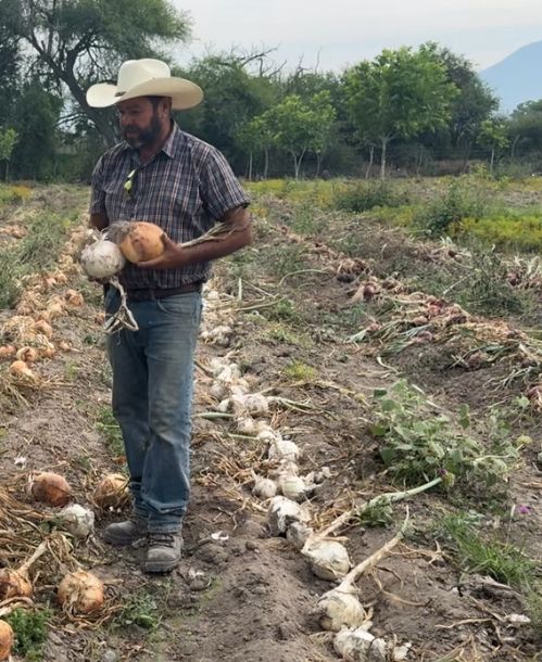 WhatsApp Image 2026-04-29 at 8.01.24 AM.jpeg