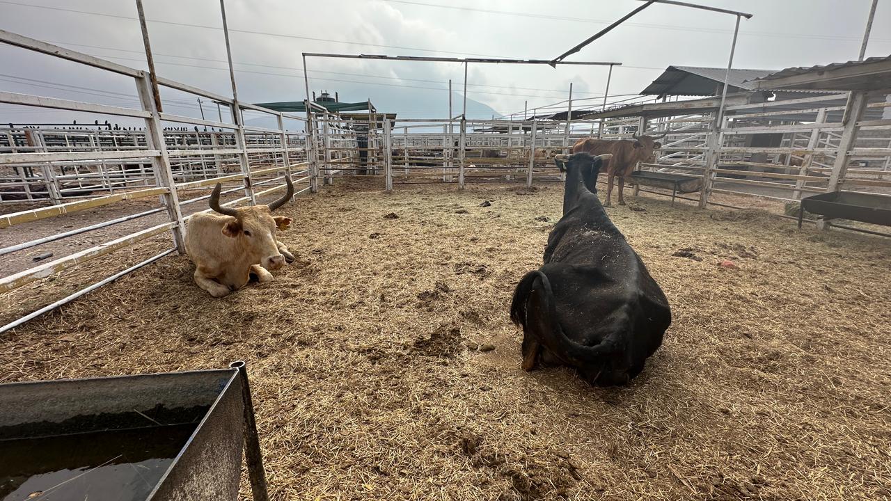 WhatsApp Image 2026-04-30 at 11.22.39 AM (1).jpeg