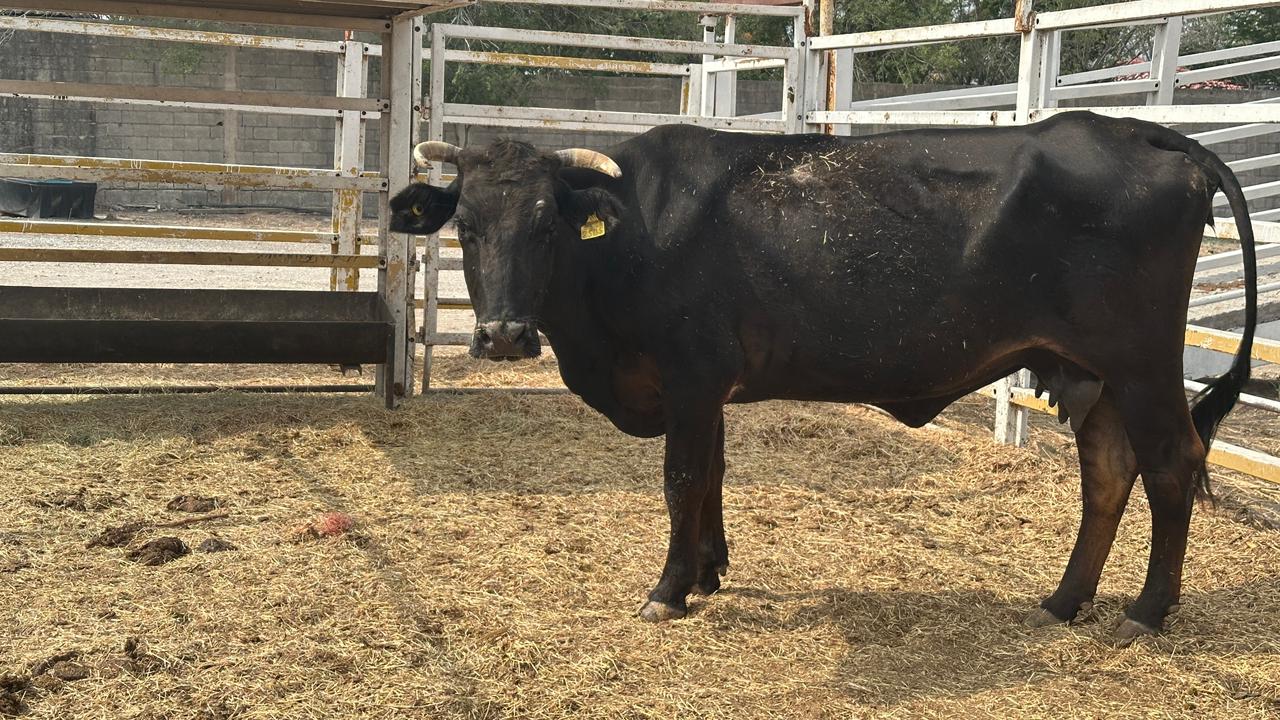 WhatsApp Image 2026-04-30 at 11.22.39 AM (2).jpeg