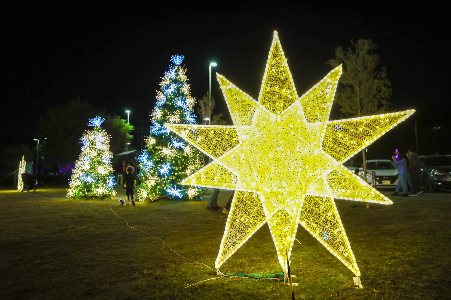 a65fe1de-13da-4b44-a403-b63f52f85252.jfif