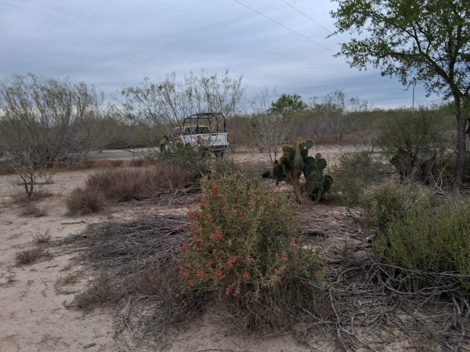 Localizan más restos humanos en área rural de Gustavo Díaz Ordaz.jpg
