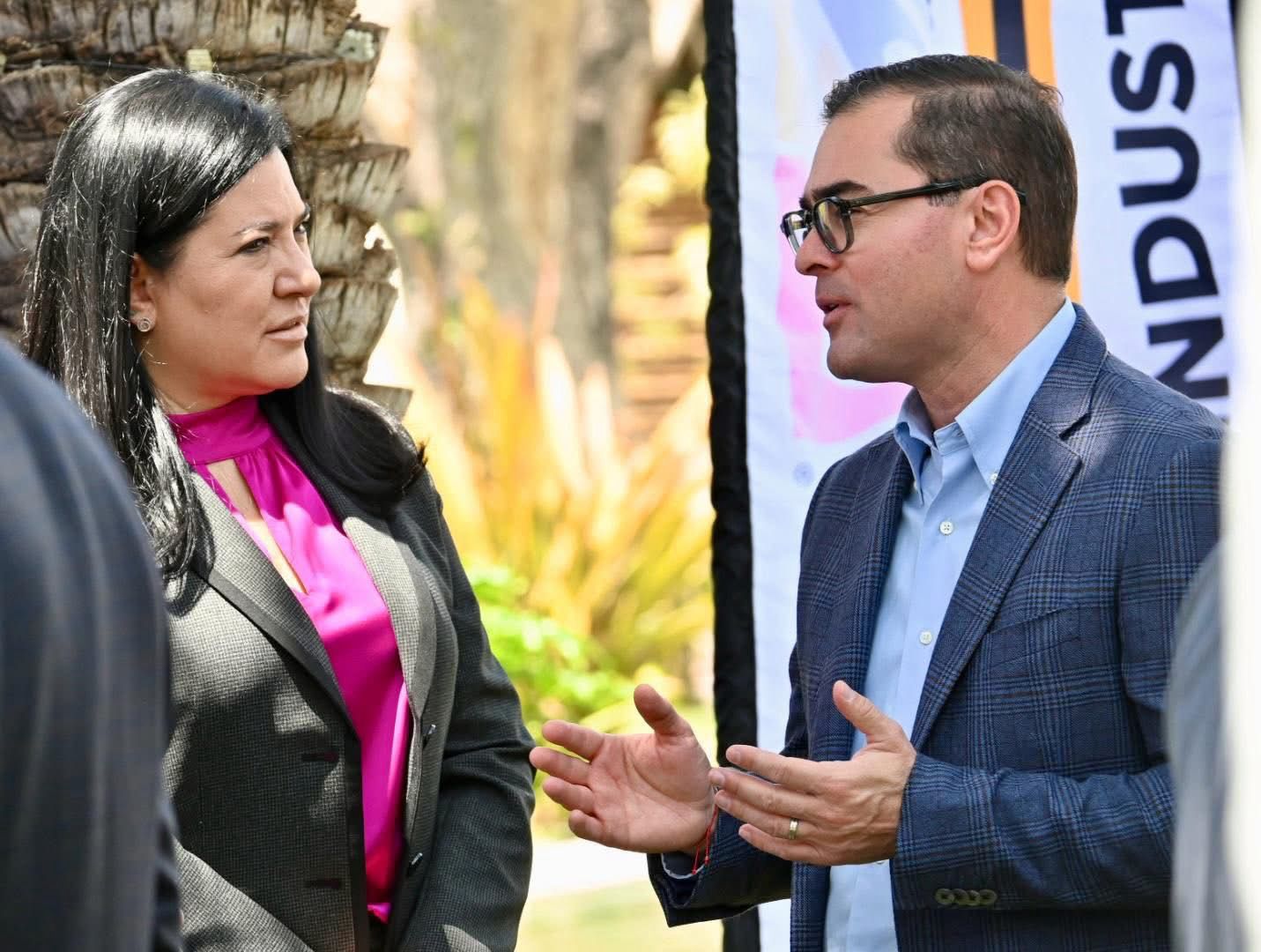 a9957155-fb77-42de-ab04-18c92ab5eebb.jfif