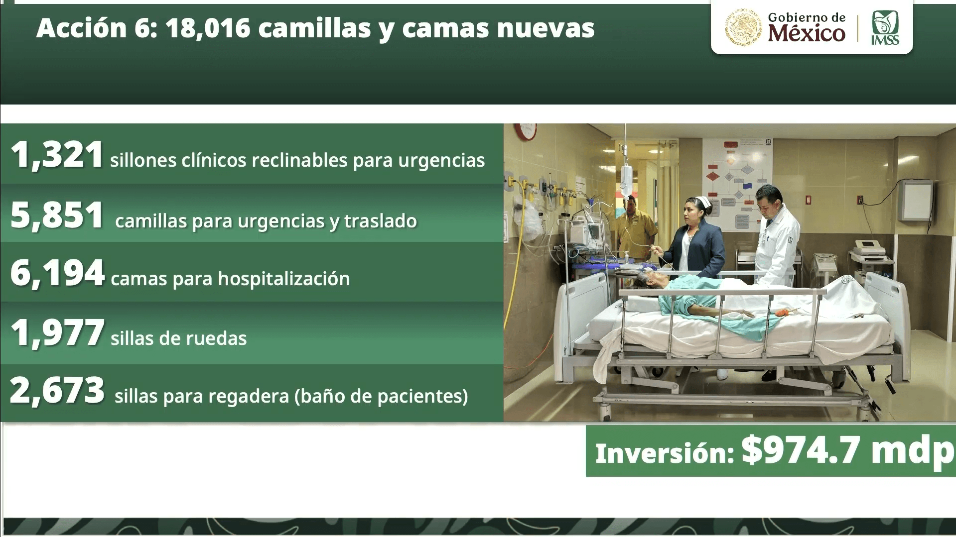 accion-6.jpg