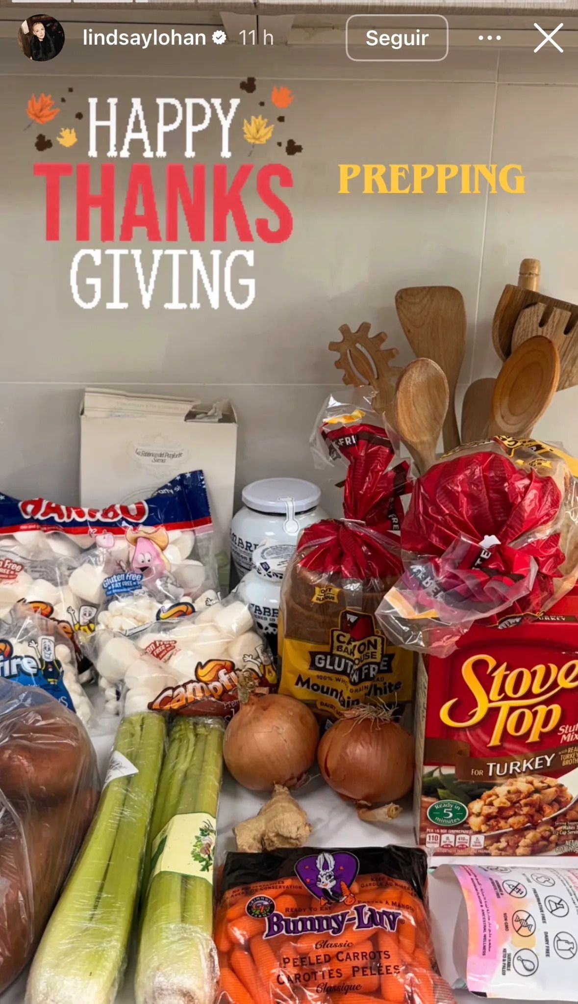 accion-de-gracias-2025-lindsay-lohan-.jpg