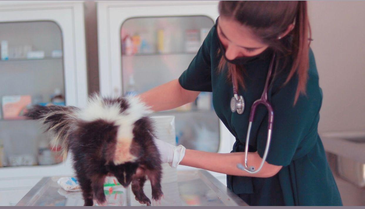 ad9faf0d-75fe-4401-8519-71f117a6b008.jfif