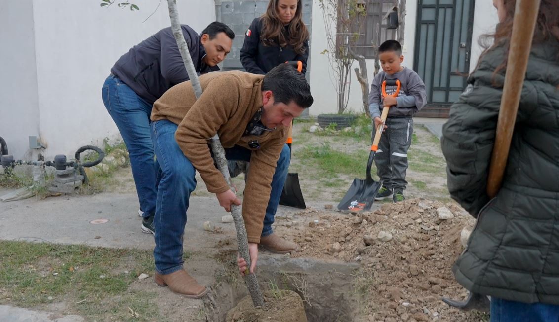 adopta un arbol salinas victoria.JPG