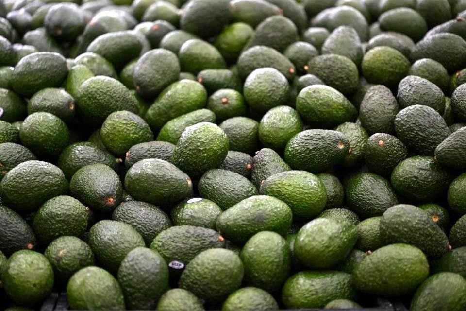 aguacate