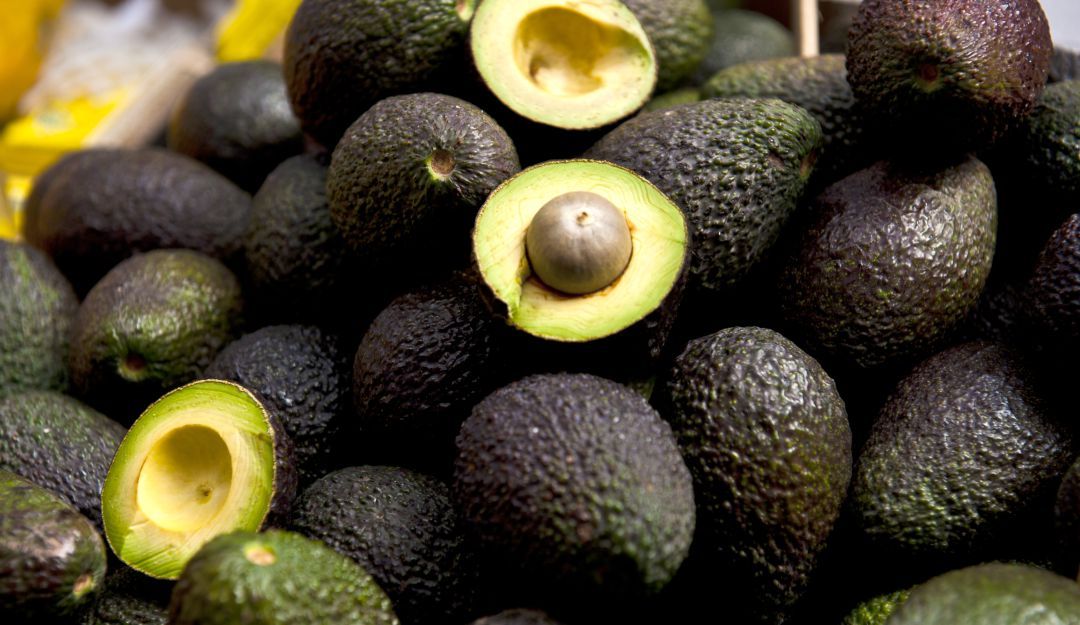 aguacate-hass-2.jpg
