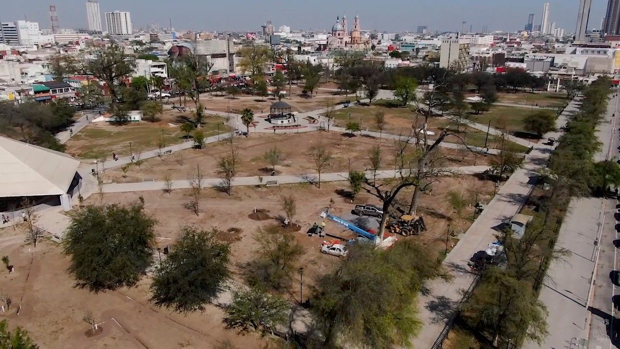 alameda-reforestacion3.jpg