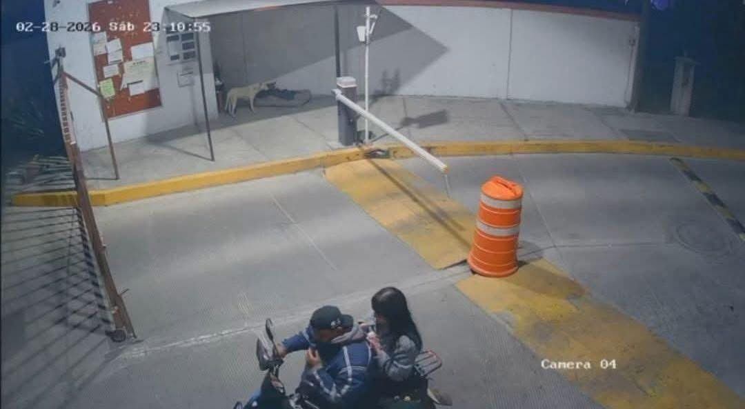 ana karen didi daniel n.jfif