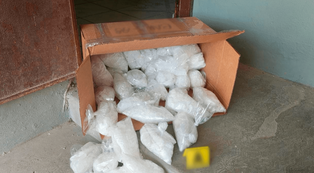 aseguran-animales-exoticos-fugitivo-aicm.jpg