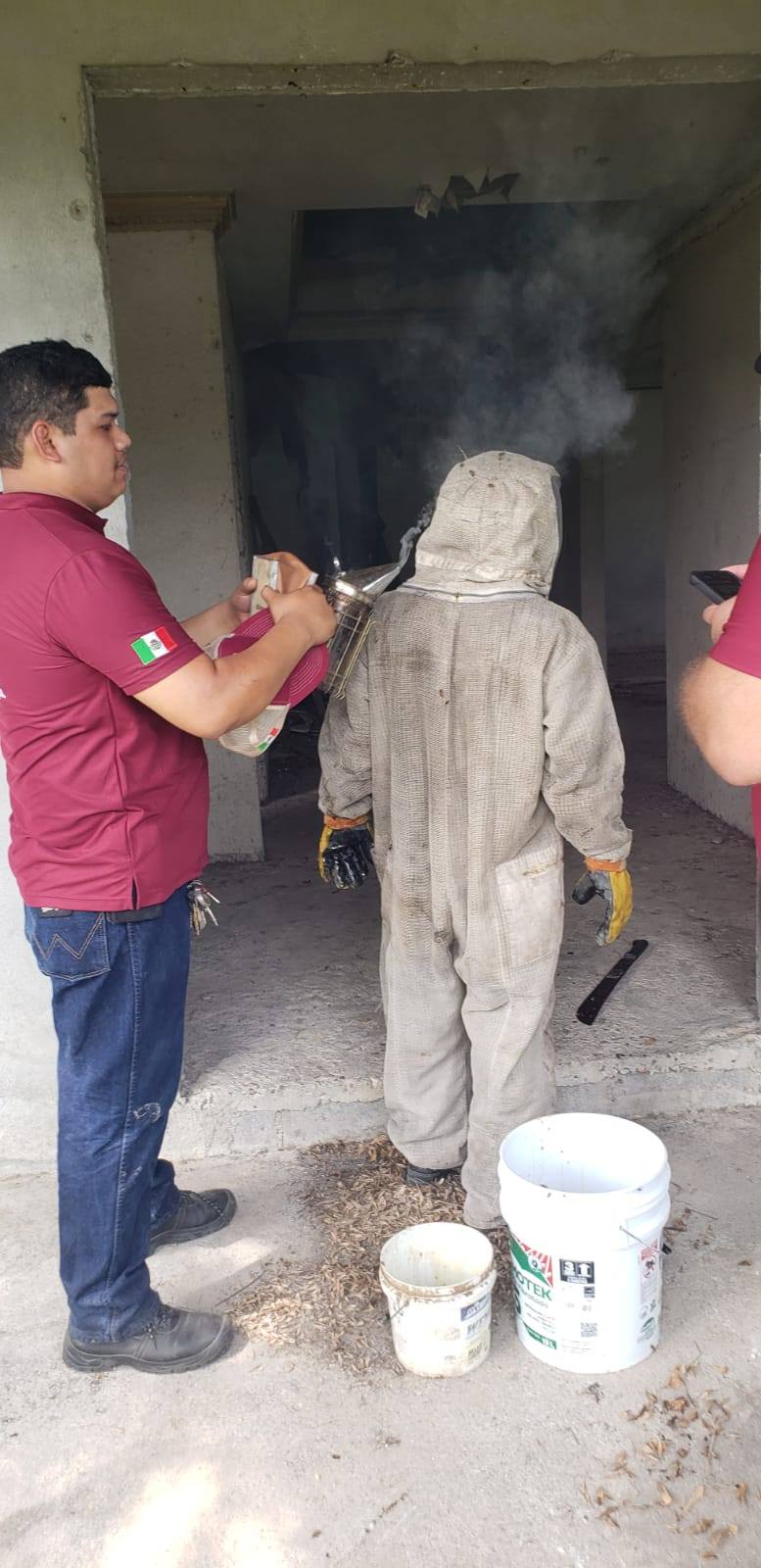 ataque-abejas.jpg