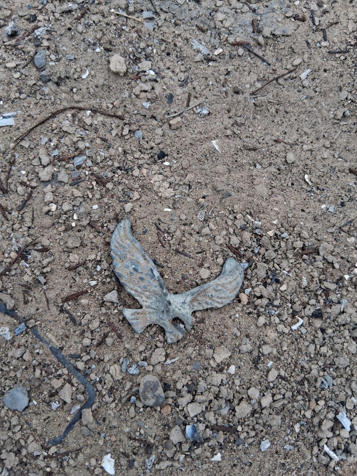 Localizan más restos humanos en área rural de Gustavo Díaz Ordaz.jpg