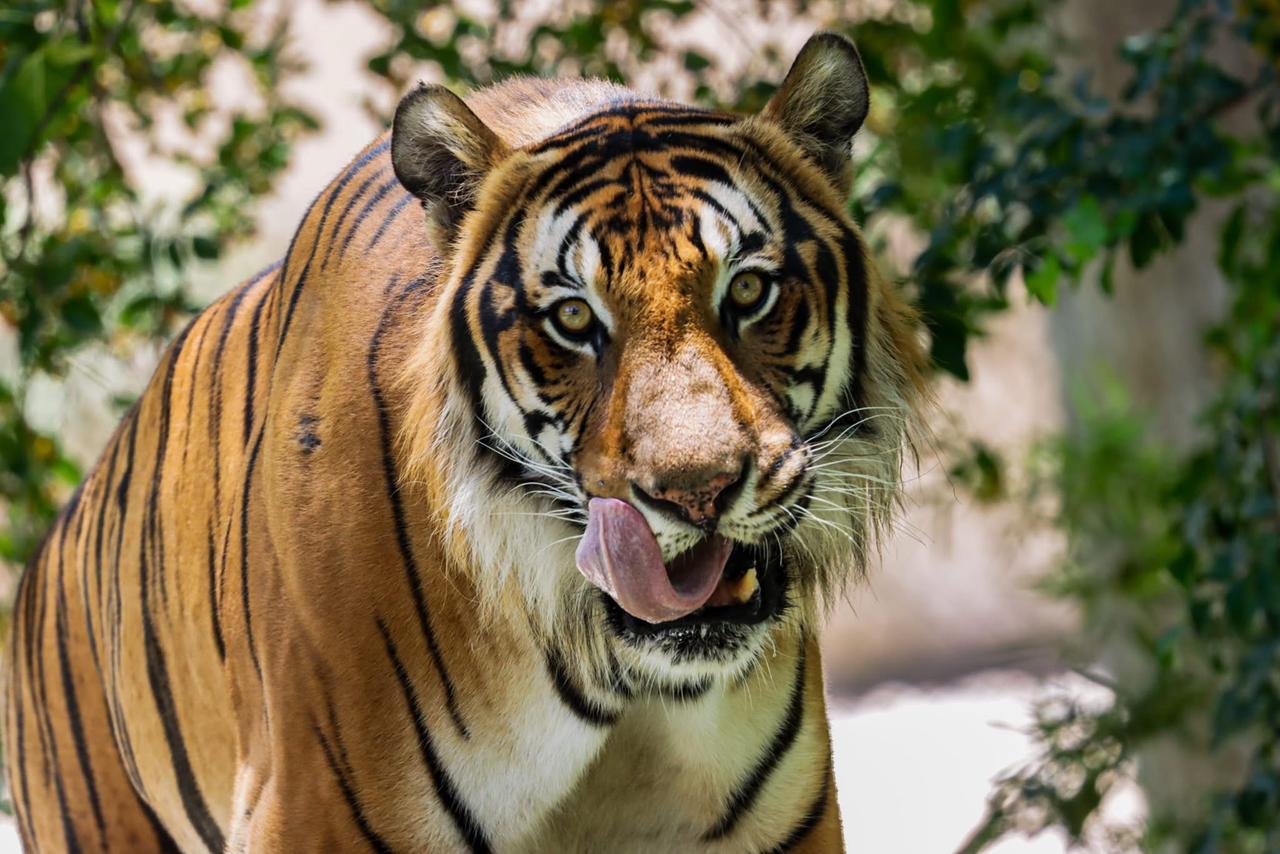 b2c21df8-1c51-4085-a315-fc27fde3b1fc.jfif