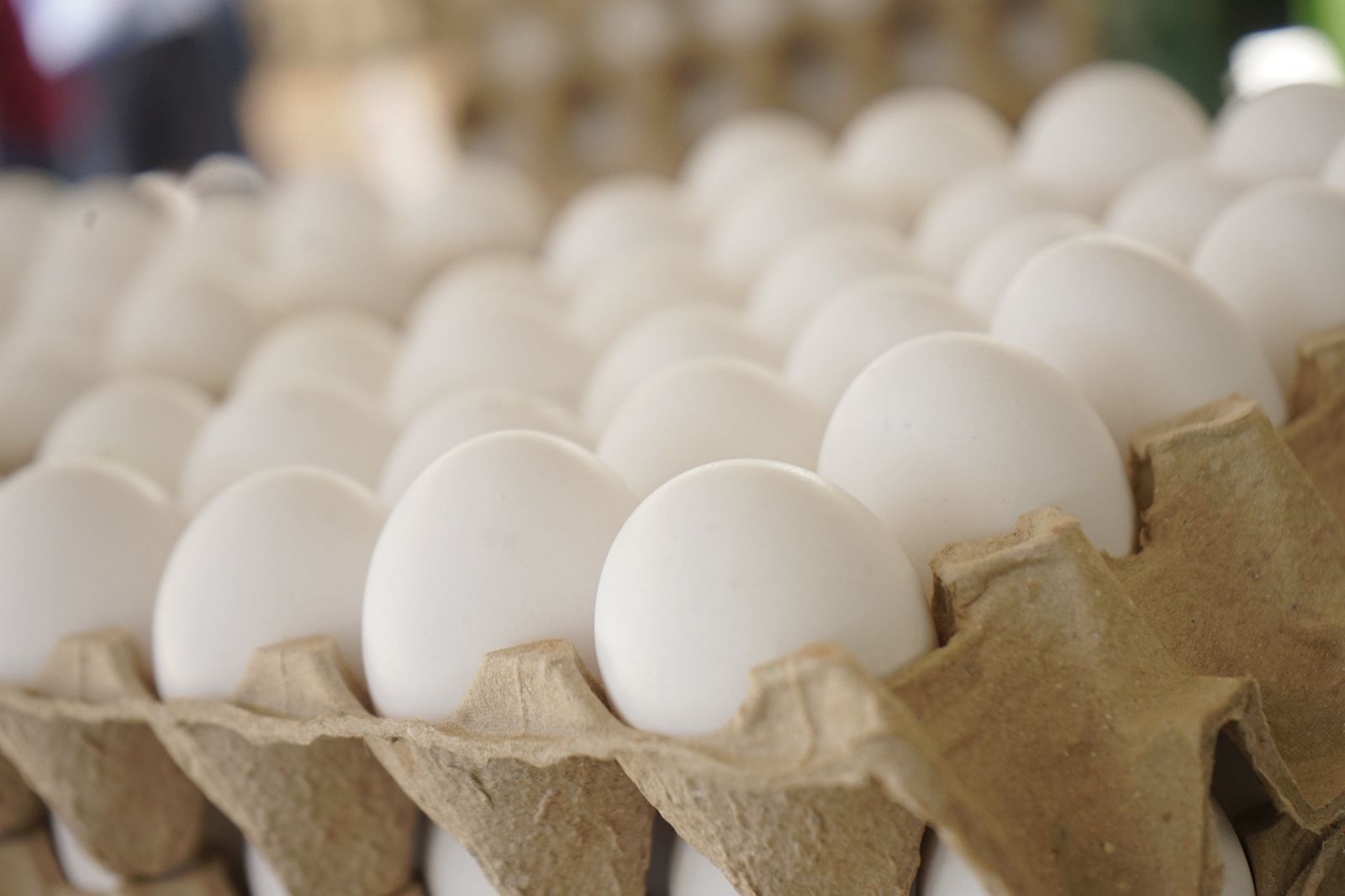 b3a3fd47-9561-43a0-80ef-b58250c92fad.jfif