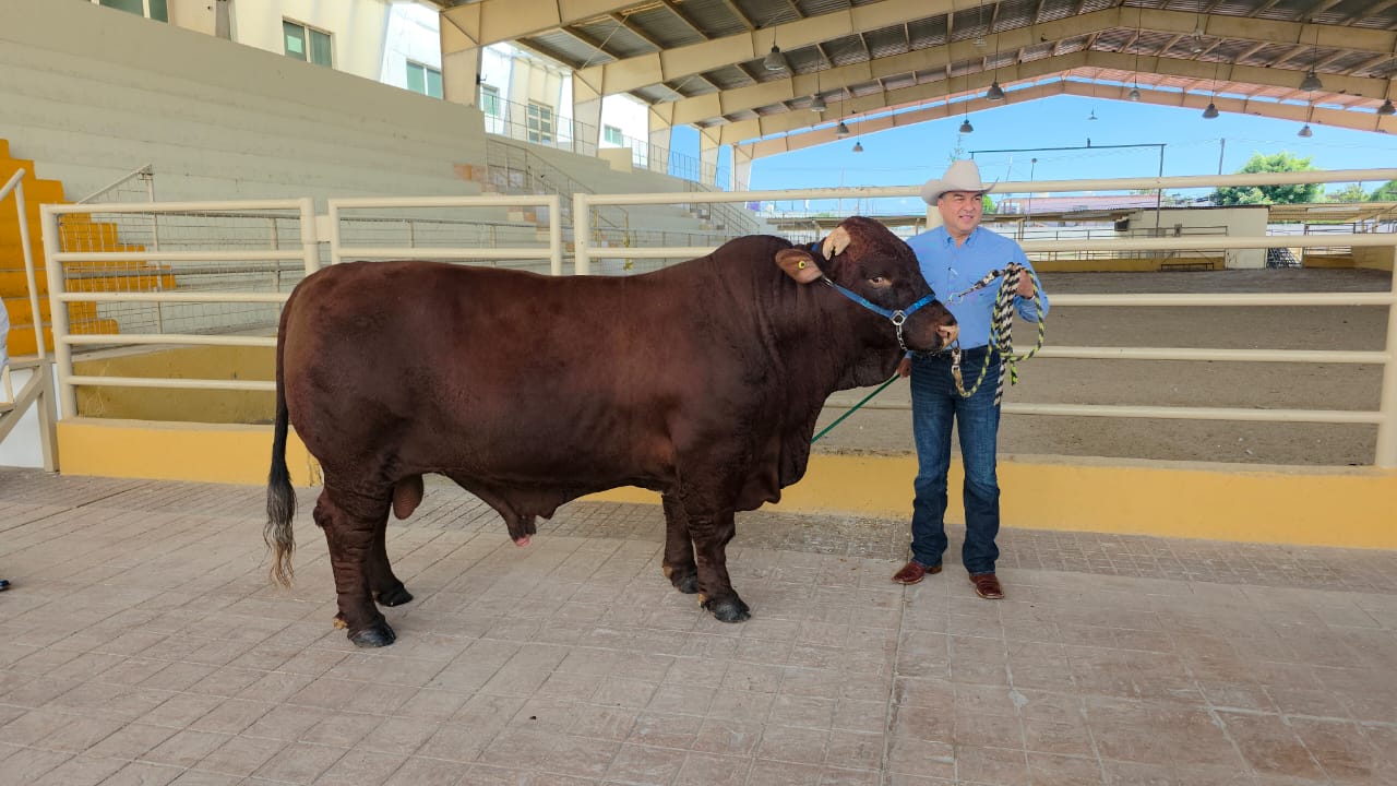 b475ddfa-93d0-4cb1-9ae6-922f60d24fd6.jfif