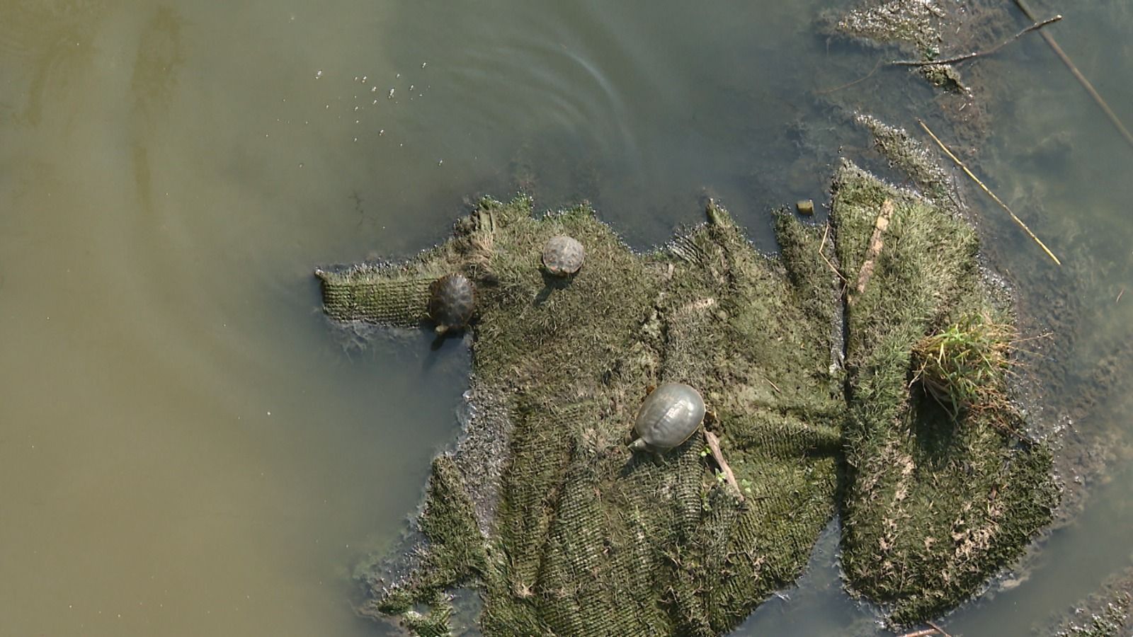 b5e8e73e-7c49-43b9-a8c6-a78bcab981ce.jfif