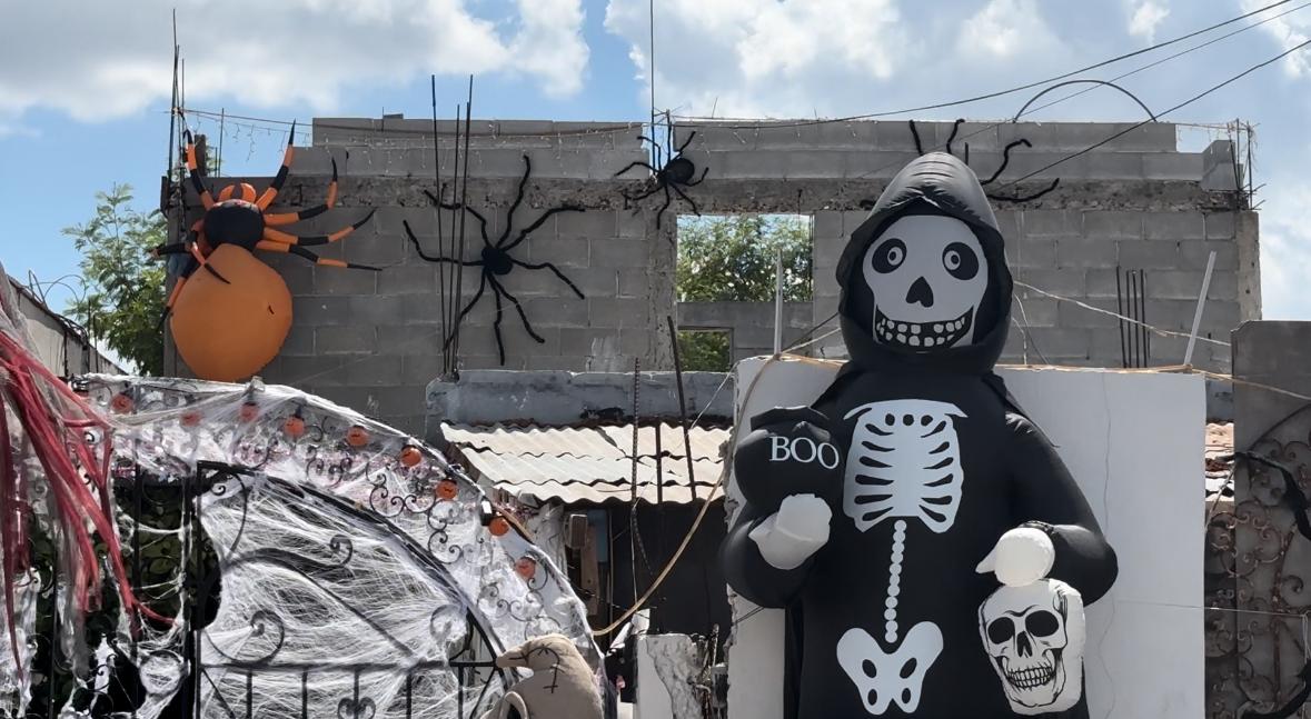 b7b60f8f-f47e-42f1-ba62-ad6d3df352ba.jfif