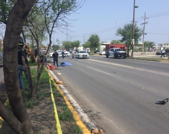 ba56e56b-461c-4050-b321-7485f5144c9e.jfif