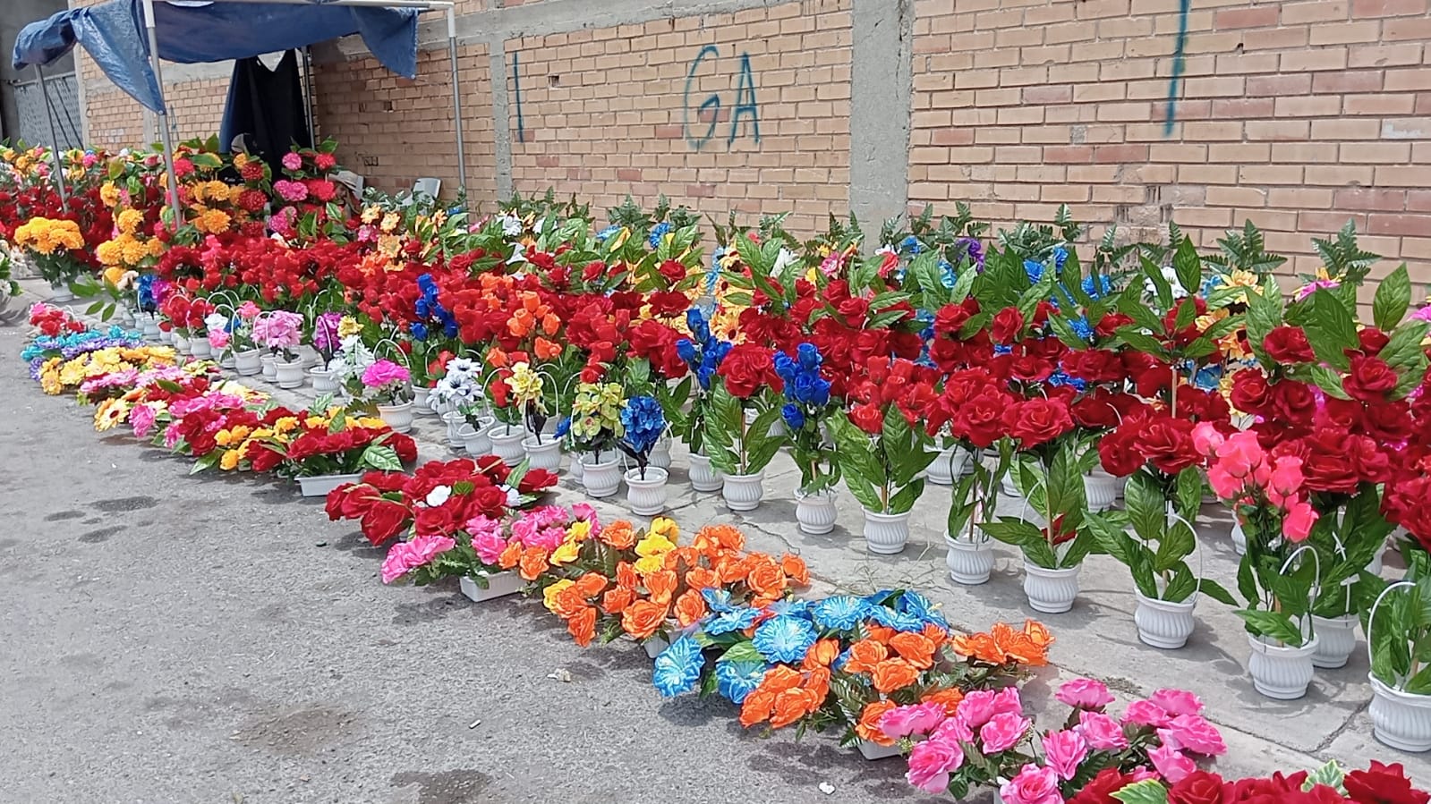 badc3bde-a778-46ba-9bd2-137cc54b1093.jfif