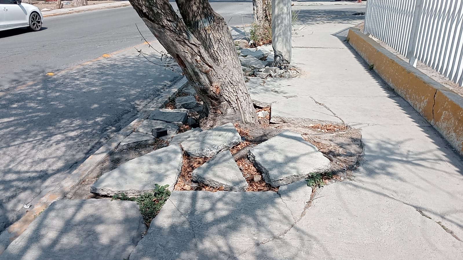 banqueta-calle-saltillo1.jpeg