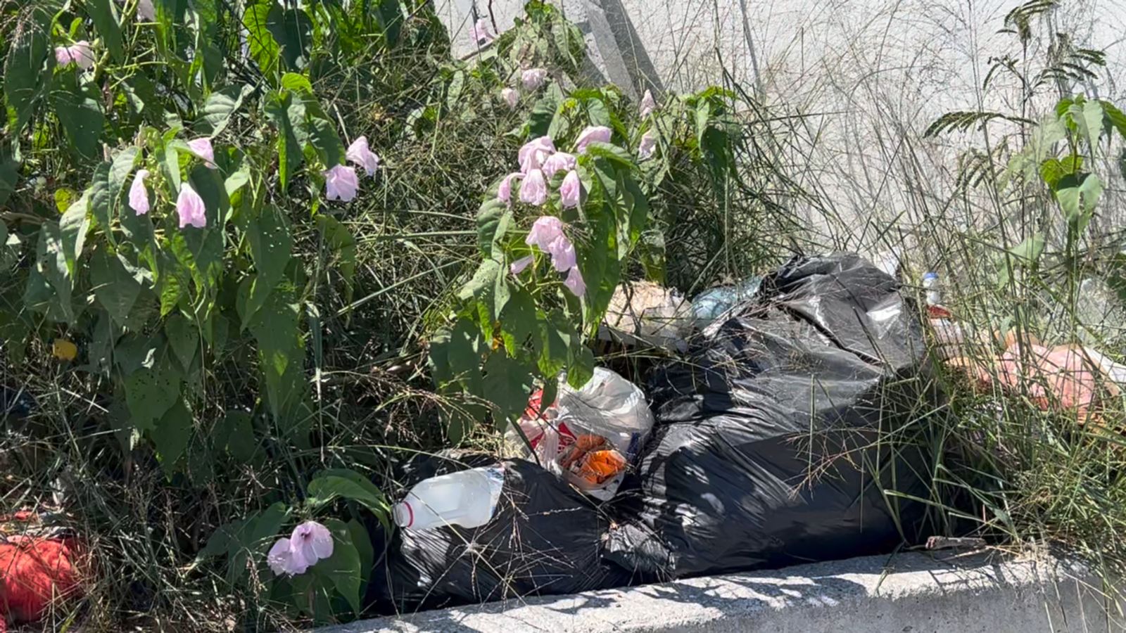 basura