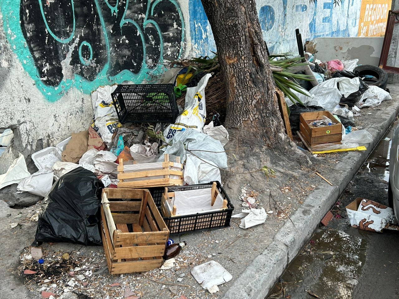 basura-revolucion-proletaria.jpg