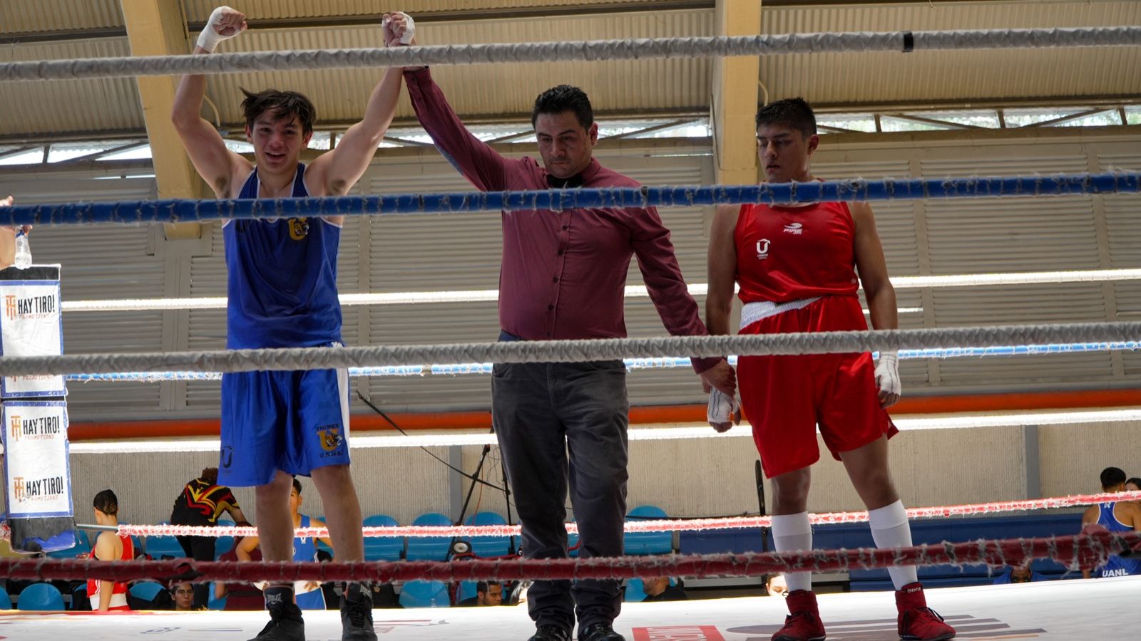 boxeo-tigres-uanl-universiada.jpeg