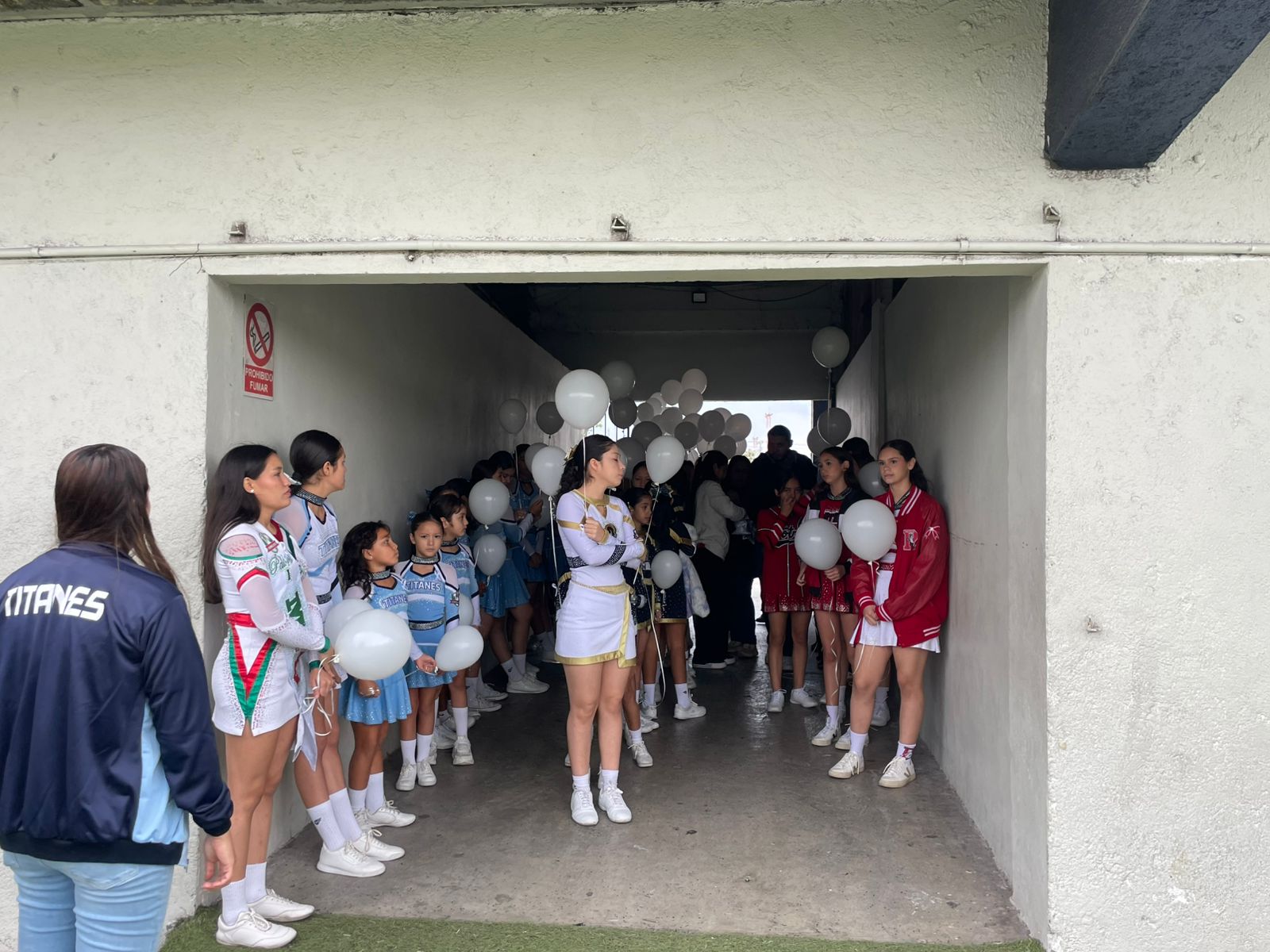 c1a00a43-9d5f-4e93-8a70-841bda3b04d4.jfif