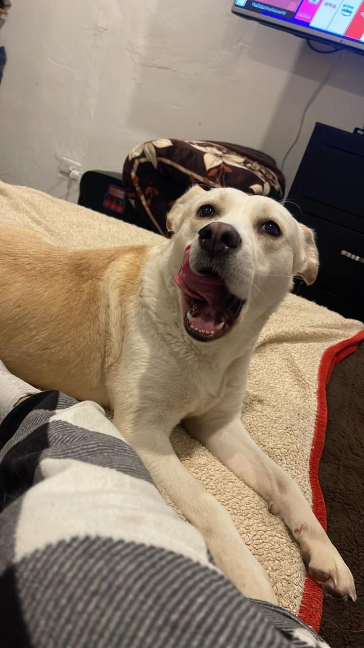 c4e9a963-08c8-4f3d-8ad3-2da09b0f16bc.jfif