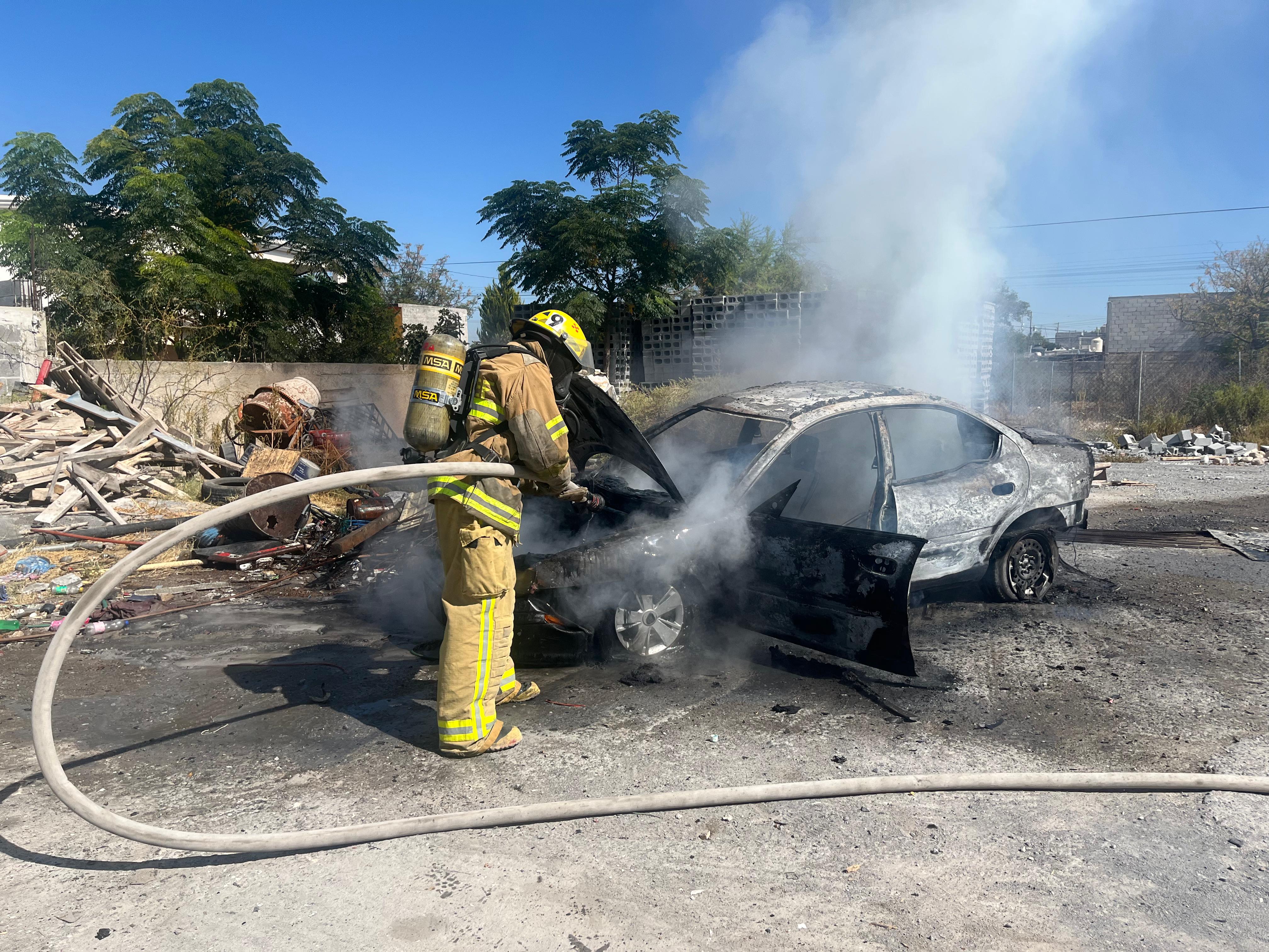 c5efdc54-dbbe-454d-99c4-2a2ff042ec2b.jfif