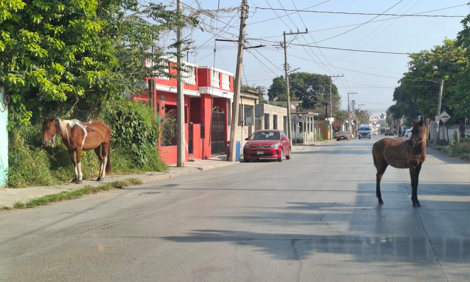 c747d8b4-9736-41ea-ad07-a7e9d4ff9b21.jfif