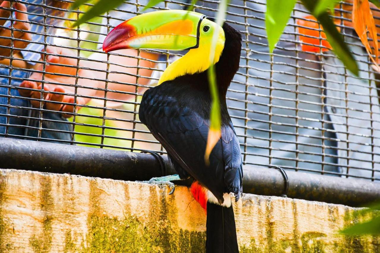 c798a0ed-d526-4e16-9c25-09d7c392a857.jfif