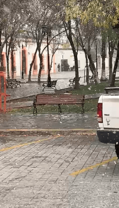 caida-nieve-lampazos-de-naranjo-nuevo-leon.jpg