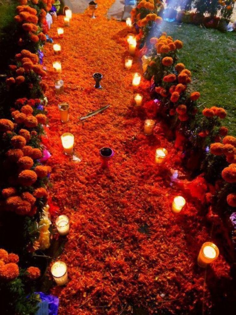 camino-de-cempasuchil-18-768x1024.jpg